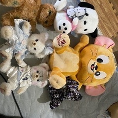 ぬいぐるみ