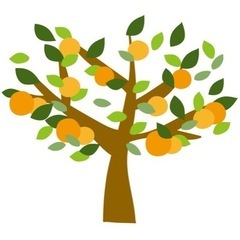 🍊みかんの木を下さい🍊
