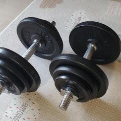 リーディングエッジ アイアンダンベル 片手20kg×2個 計40kgセットの画像