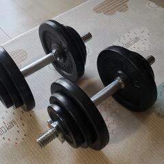 リーディングエッジ アイアンダンベル 片手20kg×2個 計40kgセットの画像