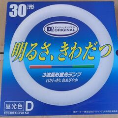 蛍光灯　シーリングライトの画像