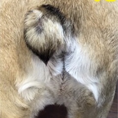 ２８日(日)音痴下手れたがメインのカラオケ会