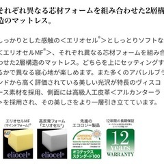 【セミダブル 】【マットレス】マニフレックス magniflex 高級モデル ローマの画像