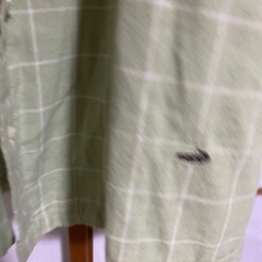 クロコダイル 試着のみの画像