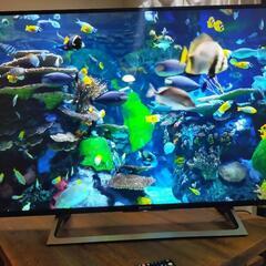 SONY BRAVIA KJ-49X8000E①