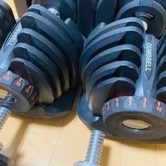 可変式ダンベルセットの画像