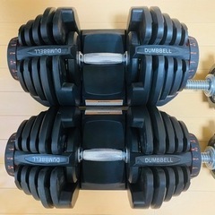 可変式ダンベルセットの画像