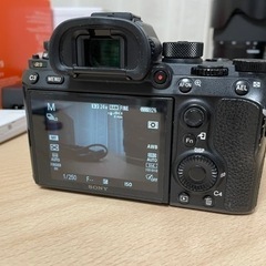 Sony a9, tamron 28-75mm f2.8 g2の画像