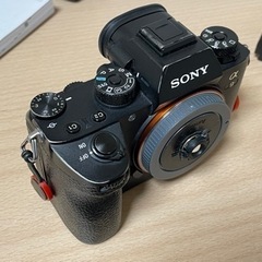 Sony a9, tamron 28-75mm f2.8 g2の画像