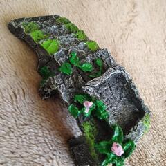 水生動物のシェルター 、インテリアの画像