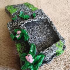 水生動物のシェルター 、インテリアの画像