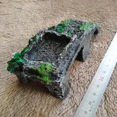 水生動物のシェルター 、インテリアの画像