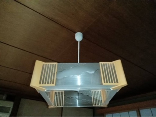電気 証明