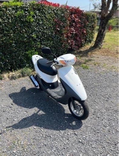 780. 動画あり　AF34 ライブディオZX仕様　綺麗　原付　50cc   車体