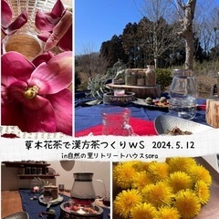 春の草木花で自分の体質に合った漢方茶つくり