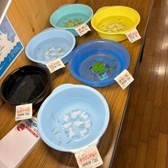 メダカ各種の画像