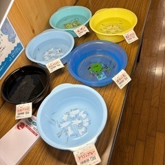 メダカ各種の画像