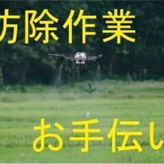 令和６年　水稲防除作業　お手伝いします