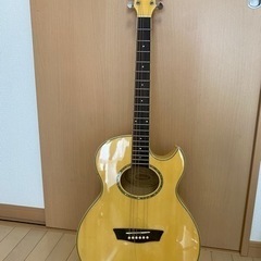 🎸アコースティックギター🎸