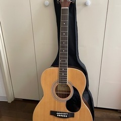楽器 弦楽器、ギター