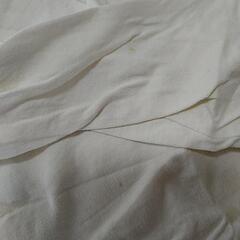 【中古】 Tシャツ レディースセットMの画像