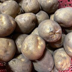 北海道産産地直送　野菜の販売はじめました！！