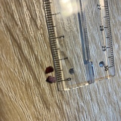 天然石　スピネル　宝石　原石の画像