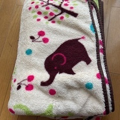 大判ブランケット