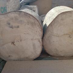 カシの玉切りですの画像