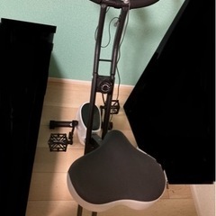 ダイエットバイク