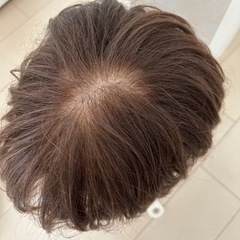 Mサイズ医療用ウィッグ（ジュリア・オージェ）の画像