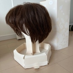 Mサイズ医療用ウィッグ（ジュリア・オージェ）の画像