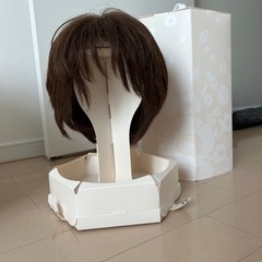Mサイズ医療用ウィッグ（ジュリア・オージェ）
