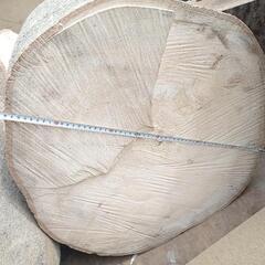 カシの玉切りですの画像