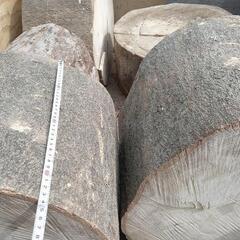 カシの玉切りですの画像