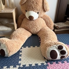 大熊の画像
