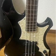 GRASS ROOTS れいたモデルベース の画像