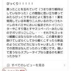【取引中　m】業務用強力洗浄剤 キバミ取り 300ml の画像