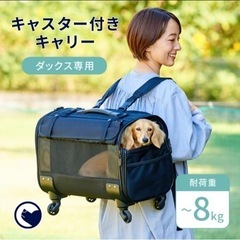 未使用OFTペットキャリー の画像