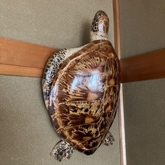 亀の飾り物