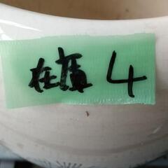 ☆在庫×4 染付火鉢・睡蓮鉢

☆の画像