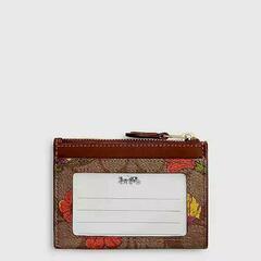 お買い得‼️非常に入手困難‼️【日本完売 2024新作COACH カードケース】正規品の画像