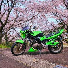 スズキ　バンディット　GJ74a 250  