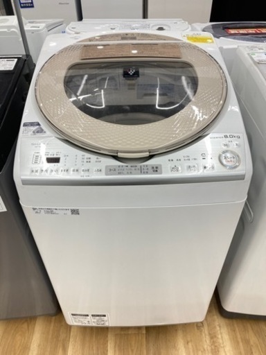 【トレファク高槻店】安心の1年間保証！取りに来られる方限定！SHARP（シャープ）の全自動洗濯機のご紹介です！
