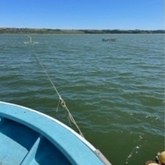 【急募】定置網作業員の画像