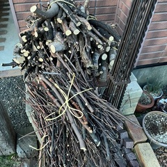 焚き付け用に　枝・小枝