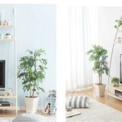 テレビ台