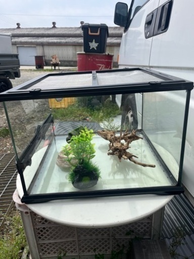 ペットゲージ　エキゾテラ  エキゾテラ  グラステラリウム  爬虫類飼育ケージ