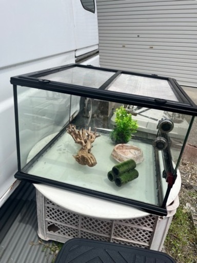 ペットゲージ　エキゾテラ  エキゾテラ  グラステラリウム  爬虫類飼育ケージ