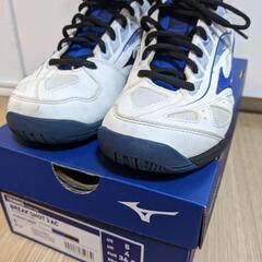 テニスシューズ　23センチ　オールコート